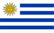 ثبت دامنه .uy.com ارزان دات کام سازمان نهاد کسب و کار کشور اروگوئه Uruguay - ارزانترین قیمت ثبت دامنه .uy.com